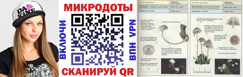 Псилоцибиновые грибы GOLDEN TEACHER  Макушино 